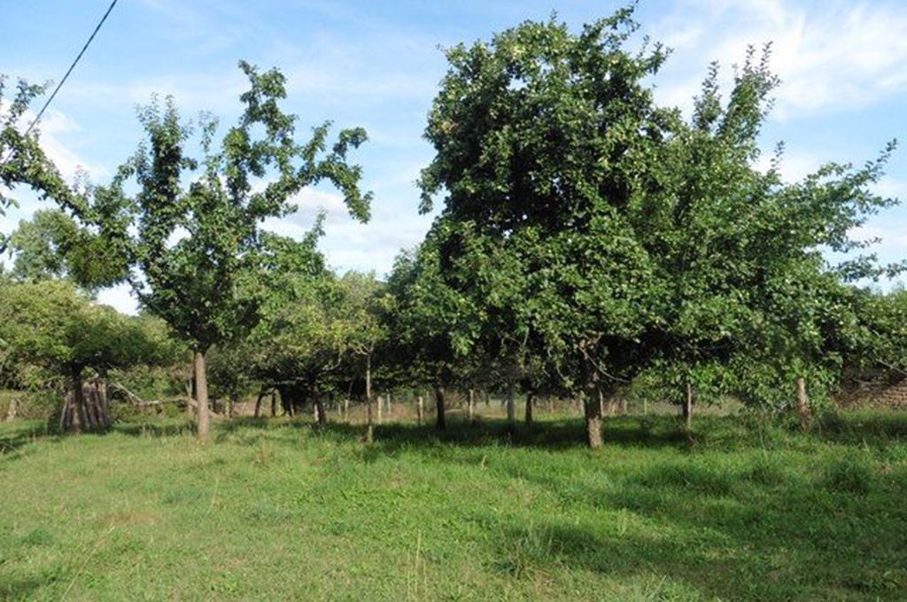 image du bien immobilier Fermette JUVIGNY -LES -VALLEES