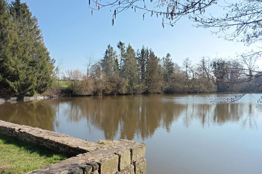 image du bien immobilier Moulin FOUGEROLLES DU PLESSIS