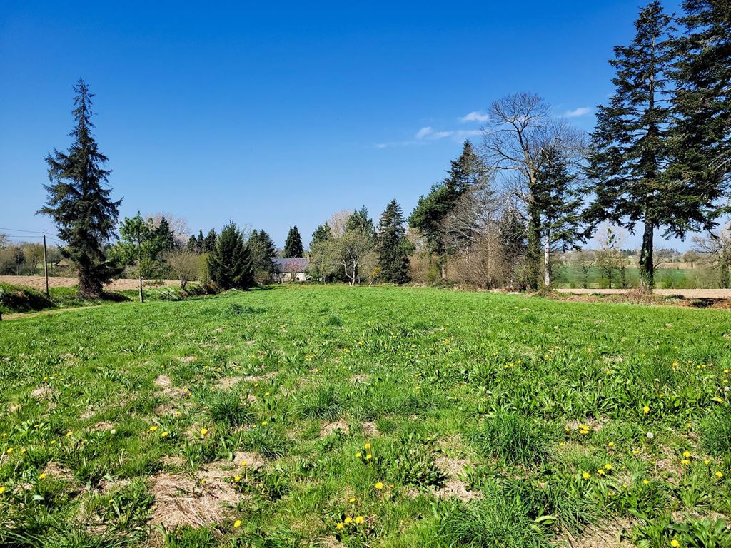 image du bien immobilier Maison ancienne LE TEILLEUL