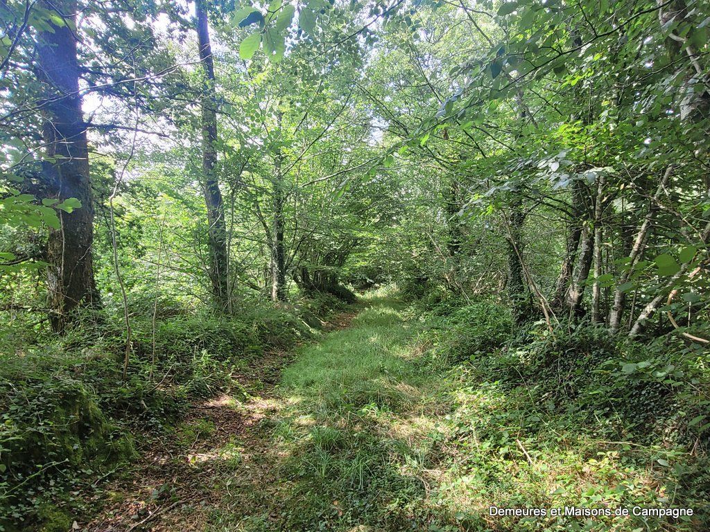 image du bien immobilier Maison ancienne SOURDEVAL